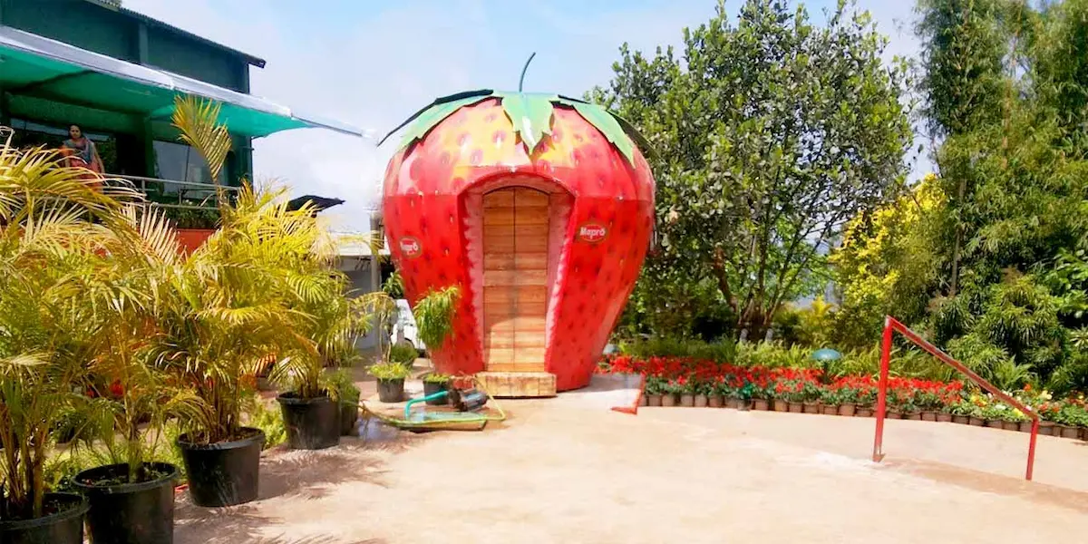 Mapro Garden Mahabaleshwar - strawberry farm and chocolate factory